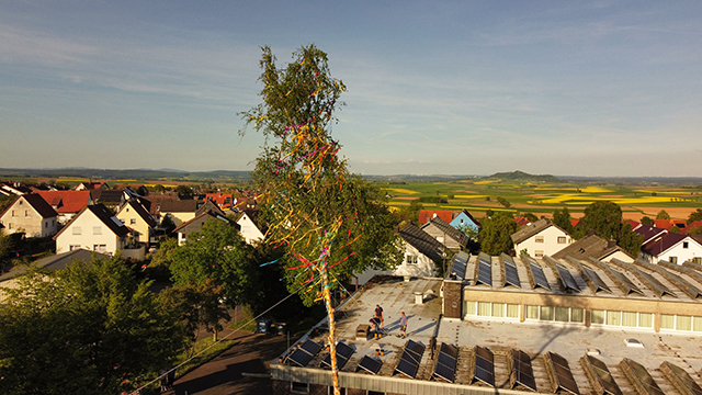 Maibaum2