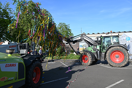 Maibaum9