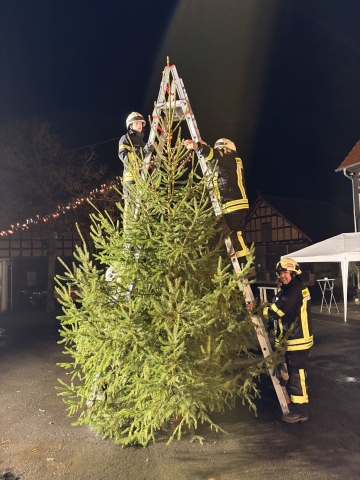 Weihnachtsbaum2