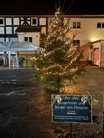 Weihnachtsbaum6